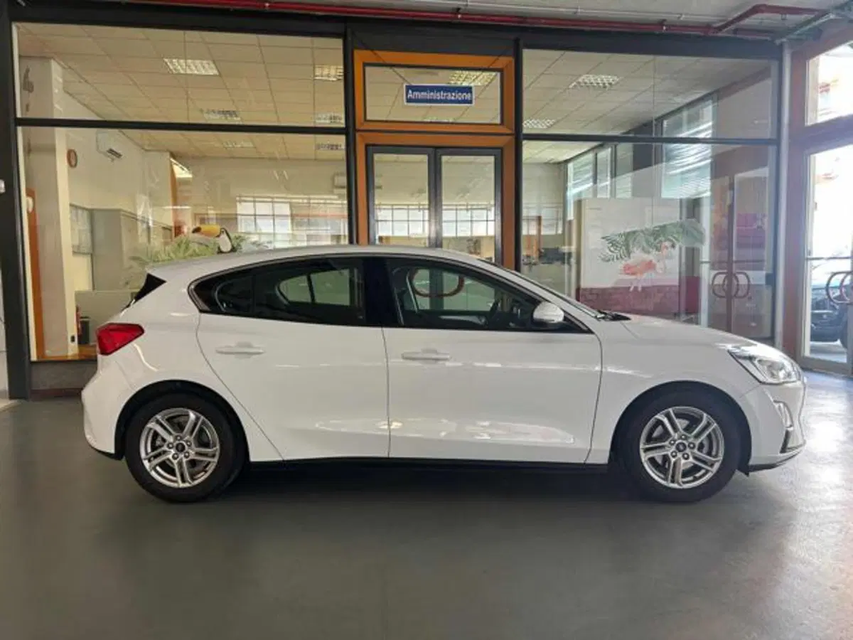 Ford Focus usata a Vercelli (4)