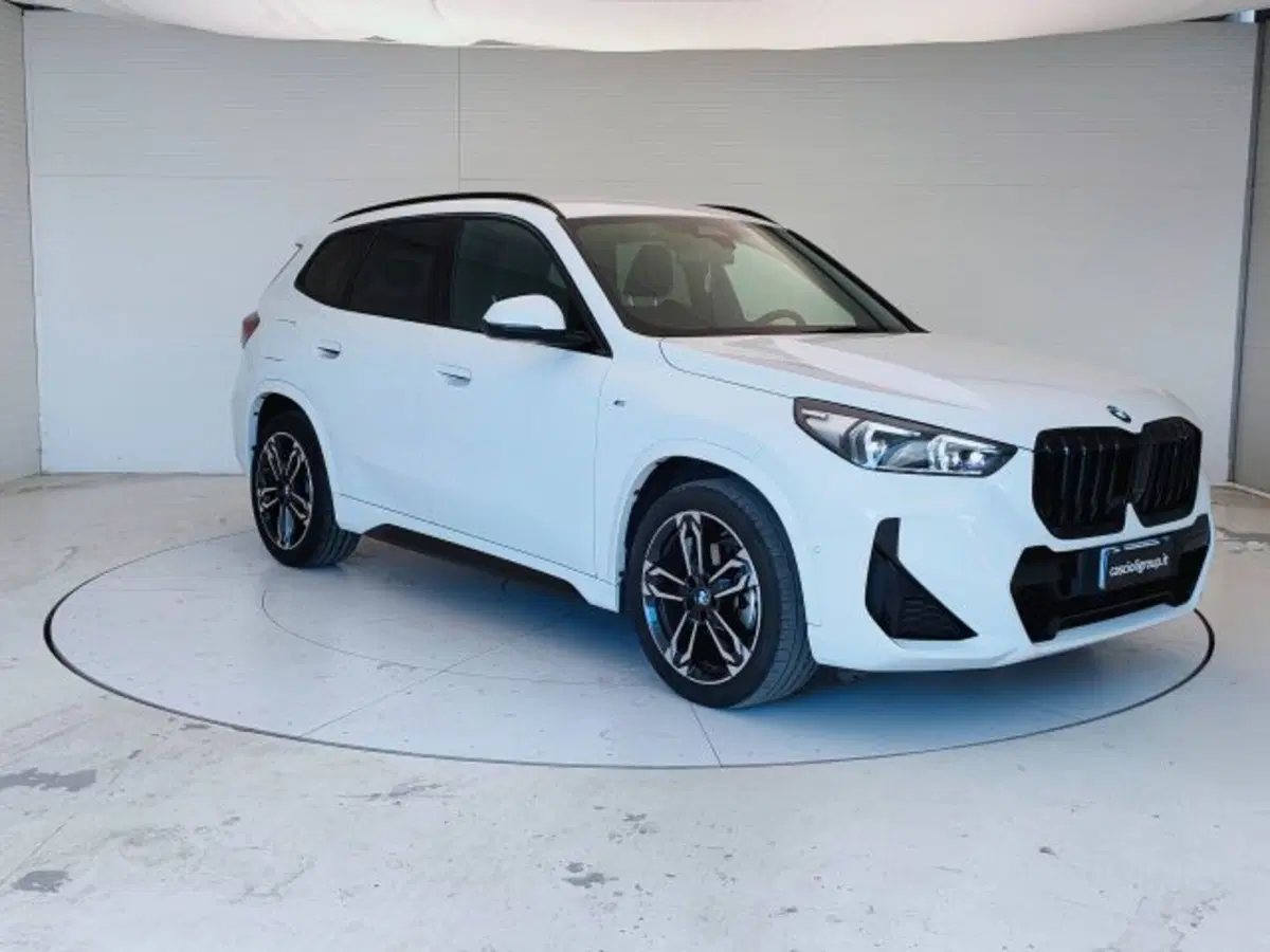 BMW X1 usata a Teramo (3)