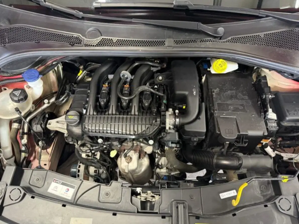 Citroen C3 usata a Siena (14)