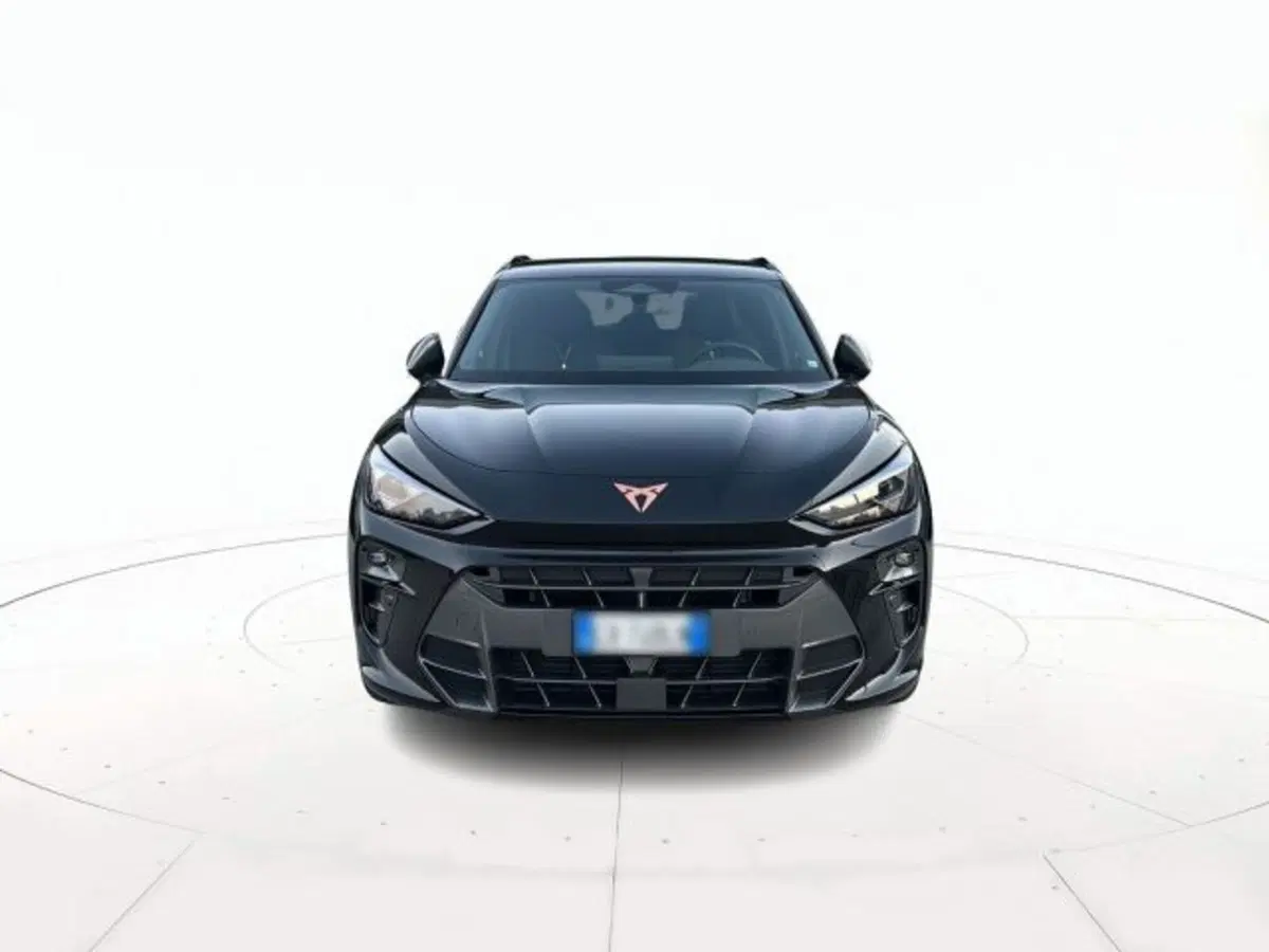 Cupra Terramar usata a Vicenza (2)