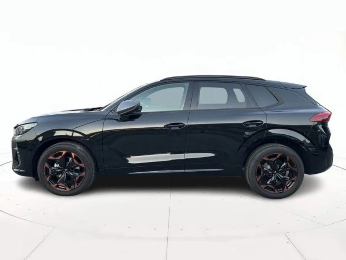 Cupra Terramar usata a Vicenza (6)