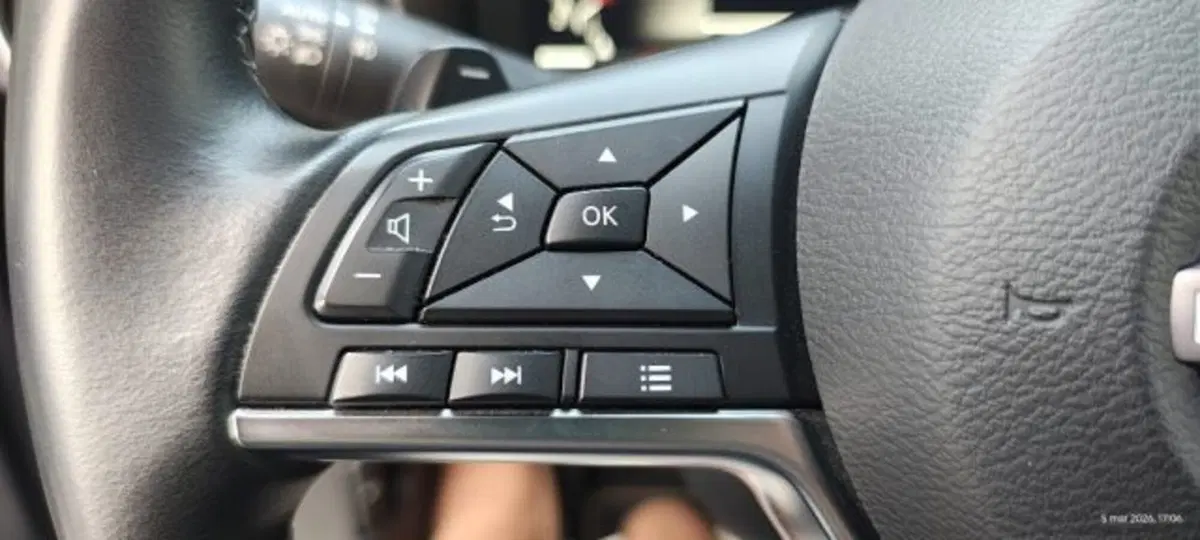 Nissan Juke usata a Taranto (14)
