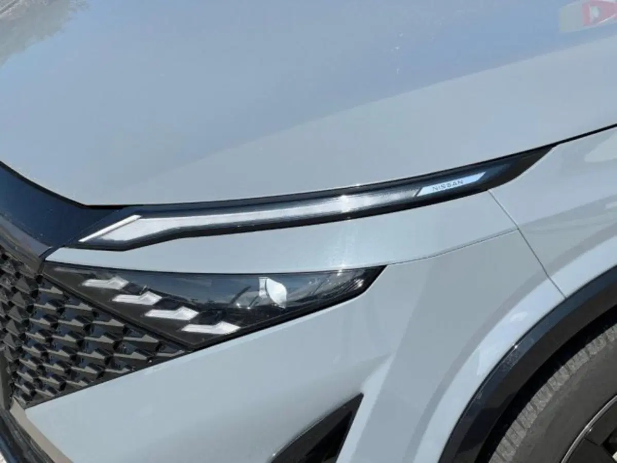 Nissan Qashqai usata a Taranto (19)