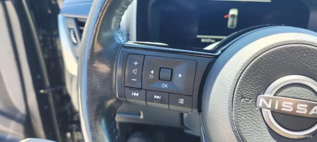 Nissan Qashqai usata a Taranto (16)
