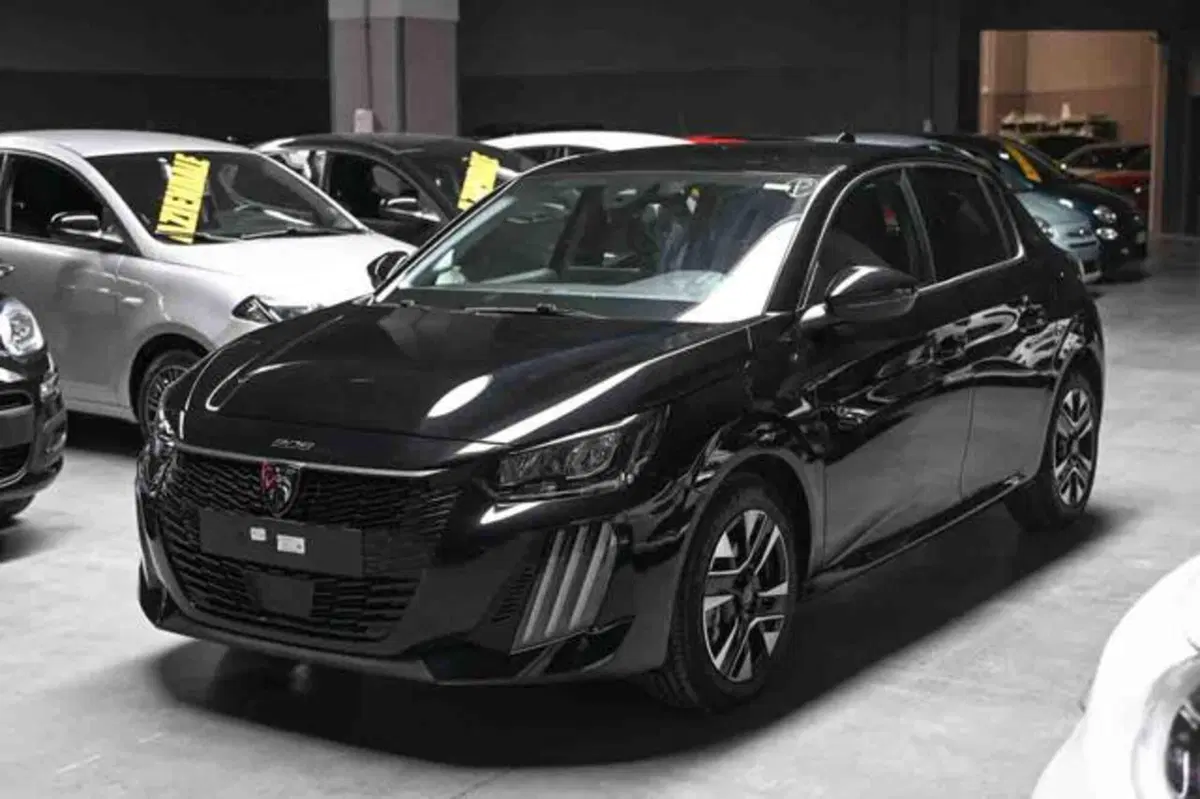 Peugeot 208 usata a Torino