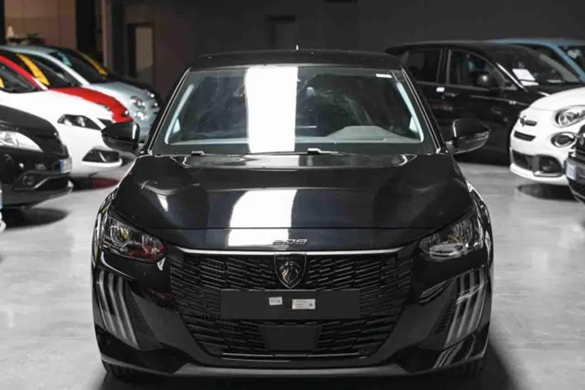 Peugeot 208 usata a Torino (16)