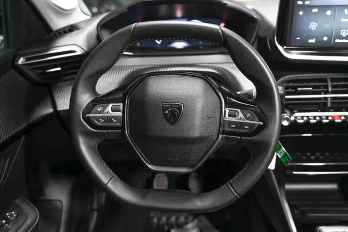 Peugeot 208 usata a Torino (19)