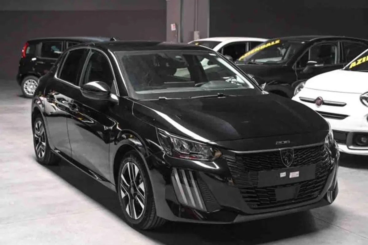 Peugeot 208 usata a Torino (2)