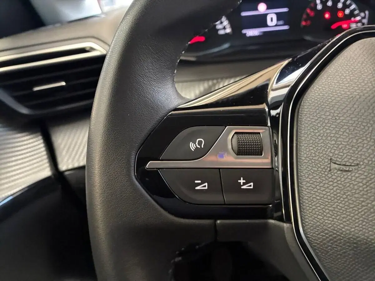 Peugeot 208 usata a Torino (13)