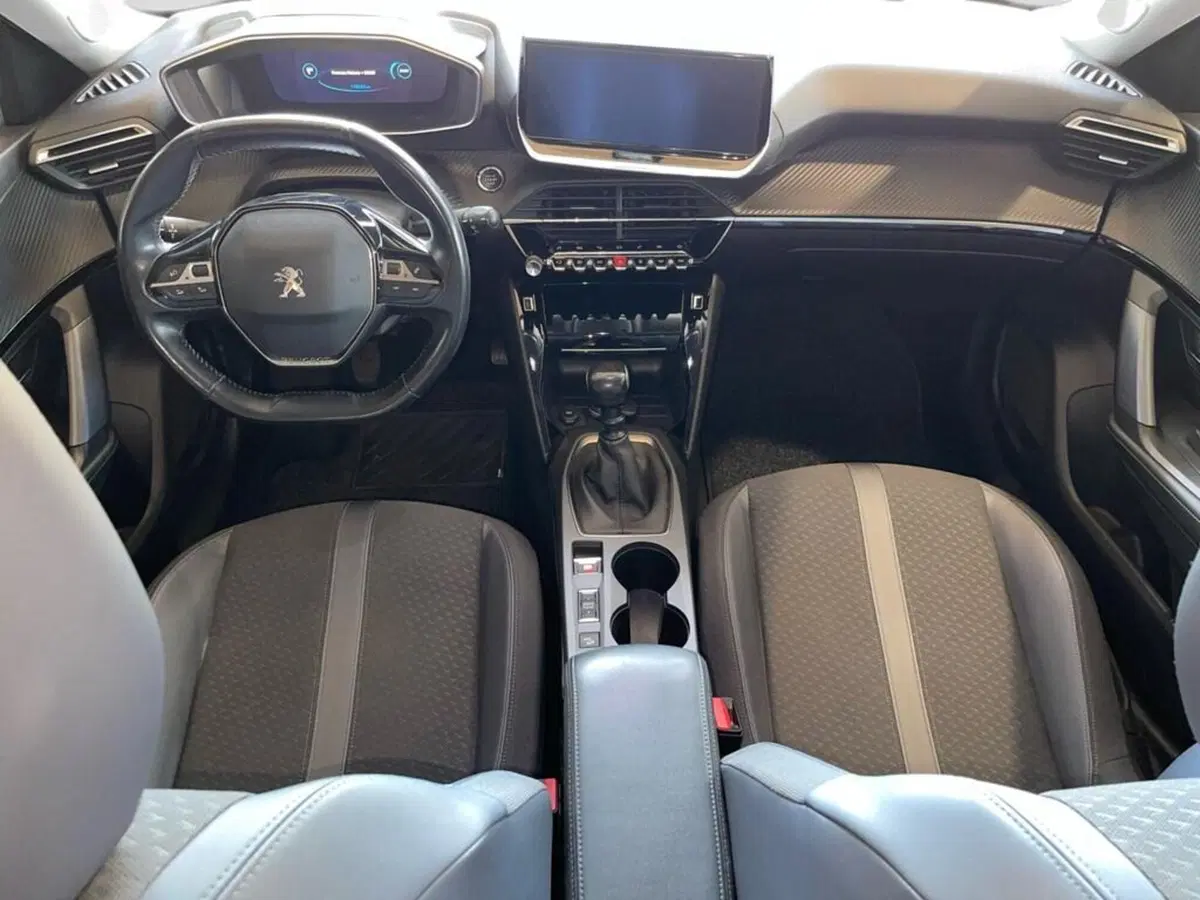 Peugeot 2008 usata a Torino (6)