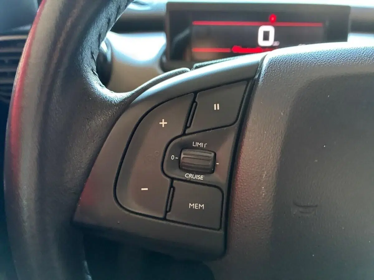 Citroen C4 Cactus usata a Torino (12)