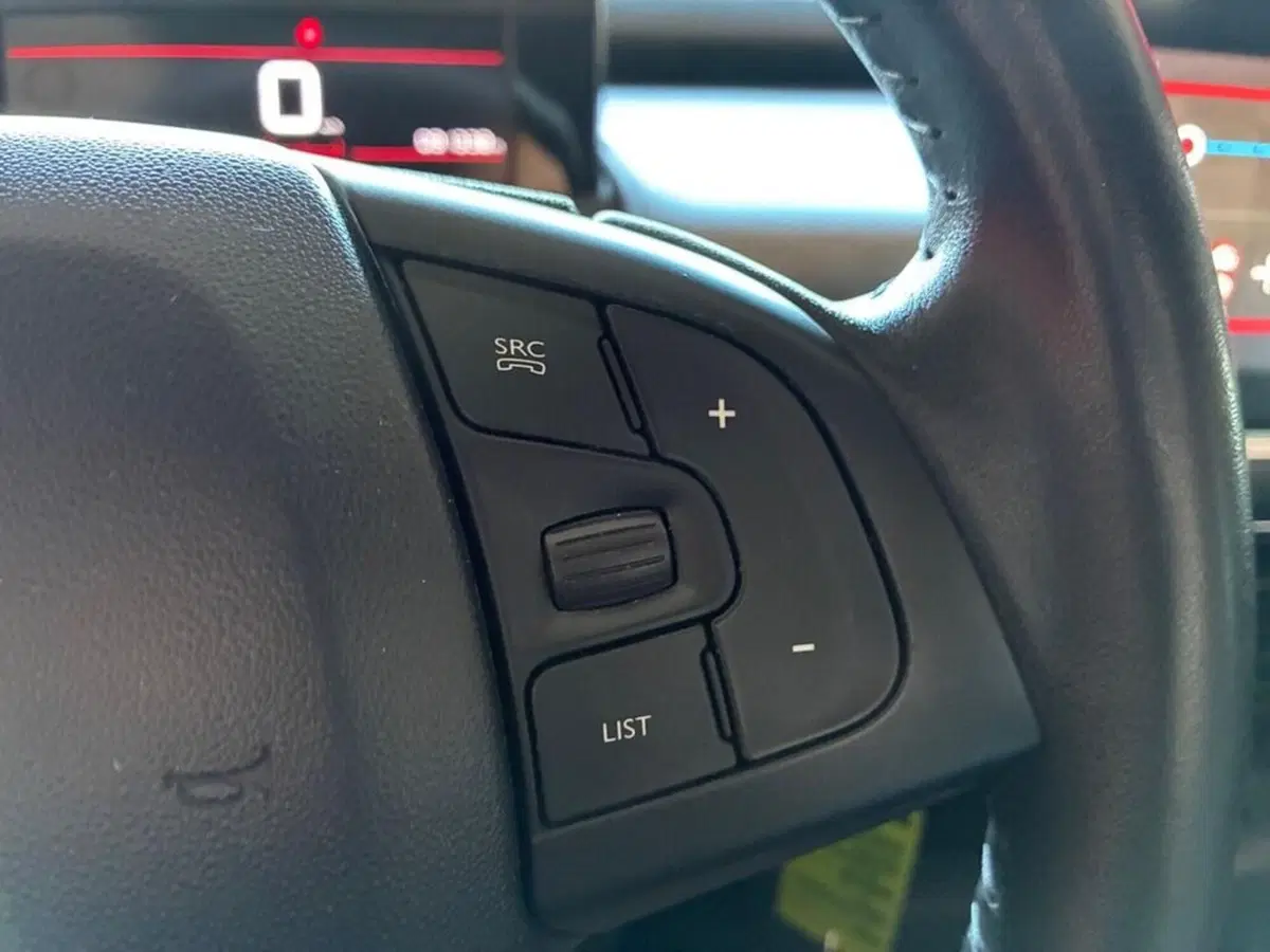 Citroen C4 Cactus usata a Torino (13)