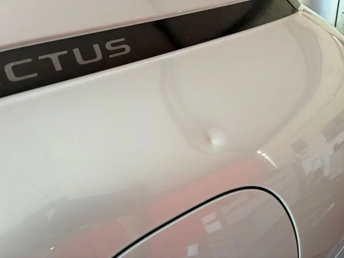 Citroen C4 Cactus usata a Torino (14)