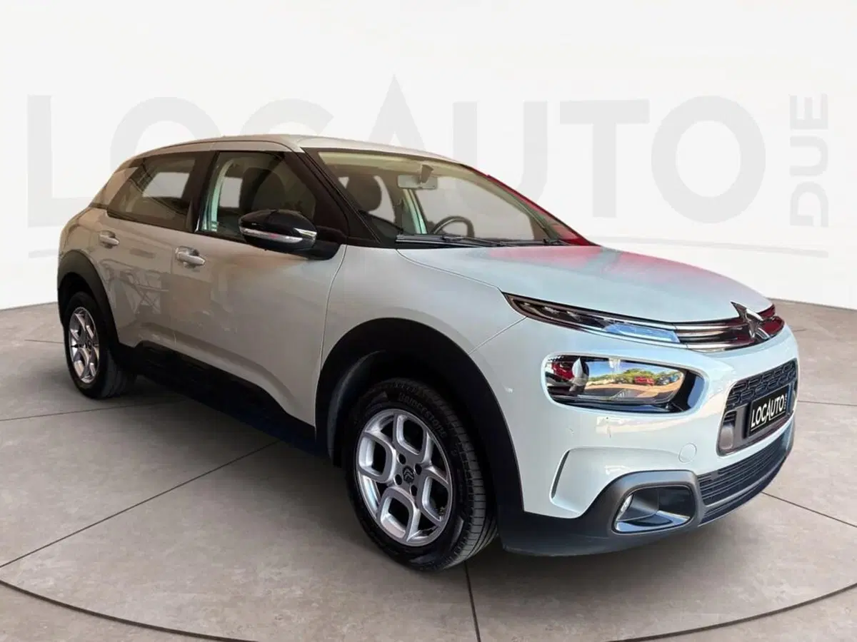 Citroen C4 Cactus usata a Torino (3)
