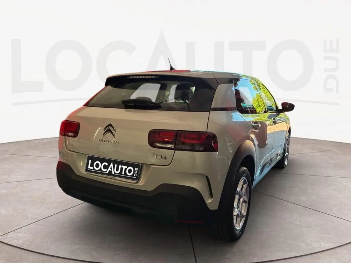 Citroen C4 Cactus usata a Torino (4)