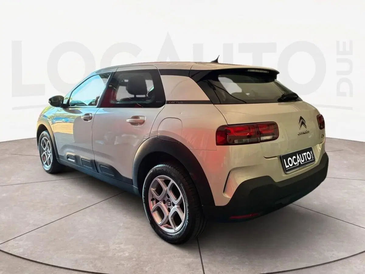 Citroen C4 Cactus usata a Torino (5)