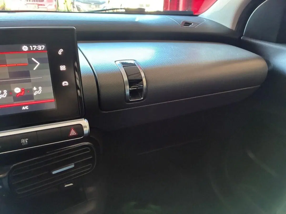 Citroen C4 Cactus usata a Torino (7)