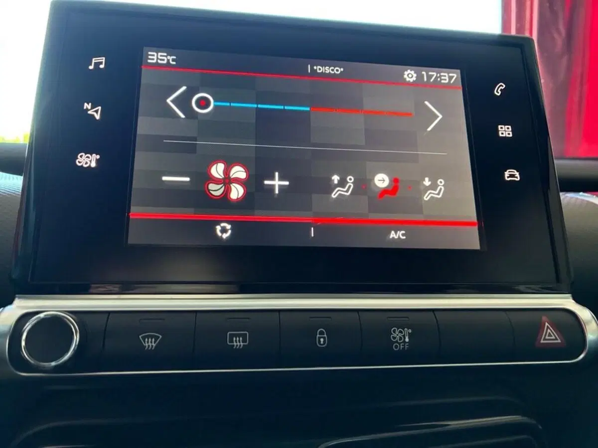 Citroen C4 Cactus usata a Torino (9)
