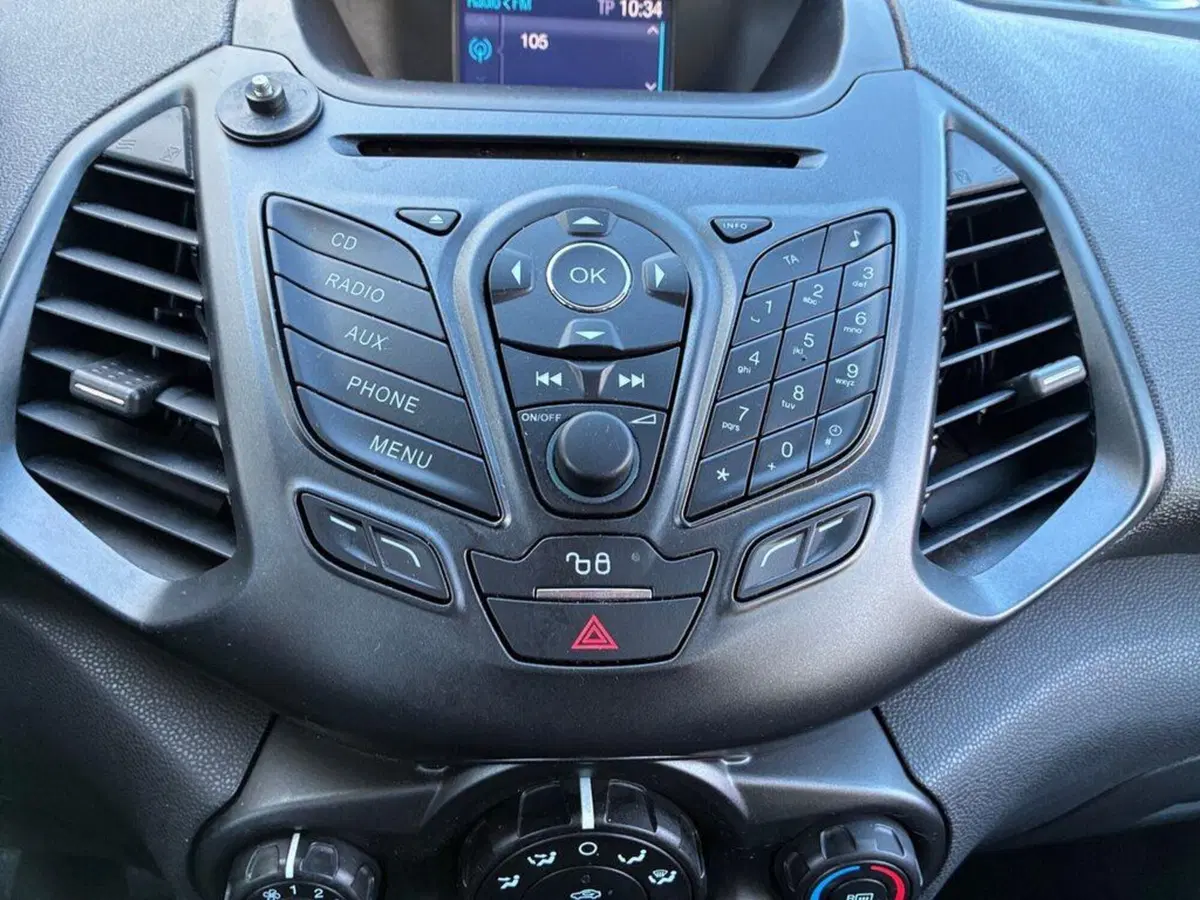Ford EcoSport usata a Torino (10)