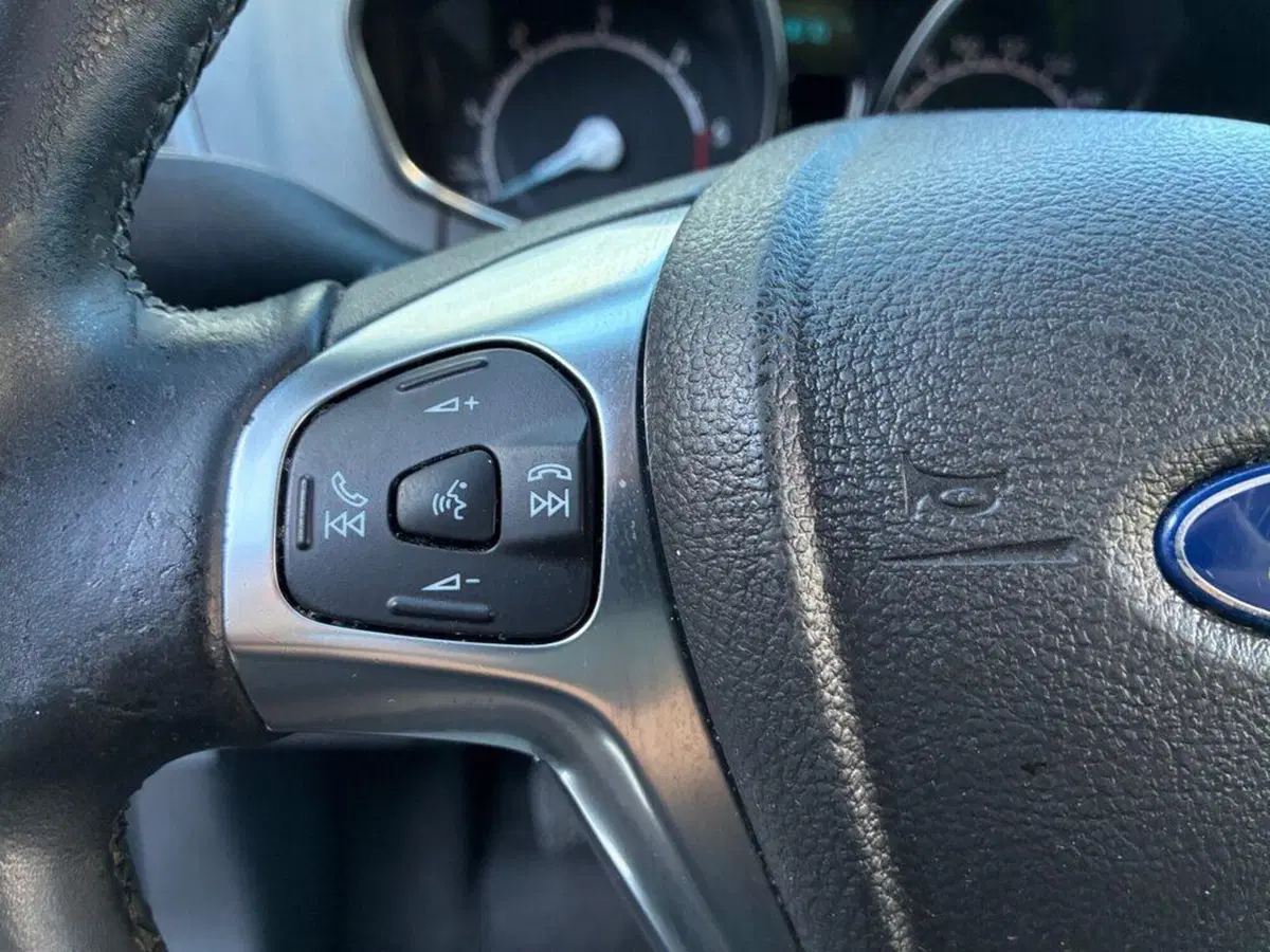 Ford EcoSport usata a Torino (13)