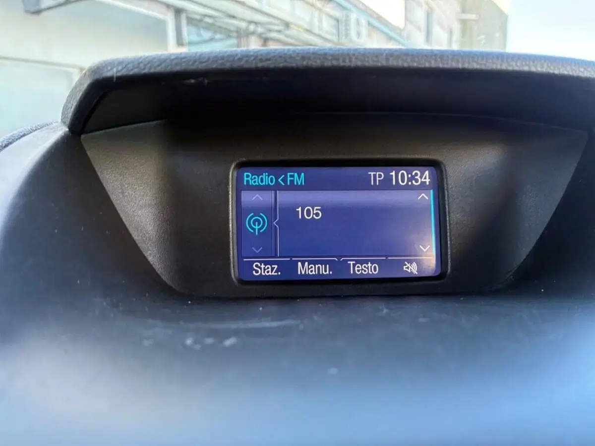 Ford EcoSport usata a Torino (9)