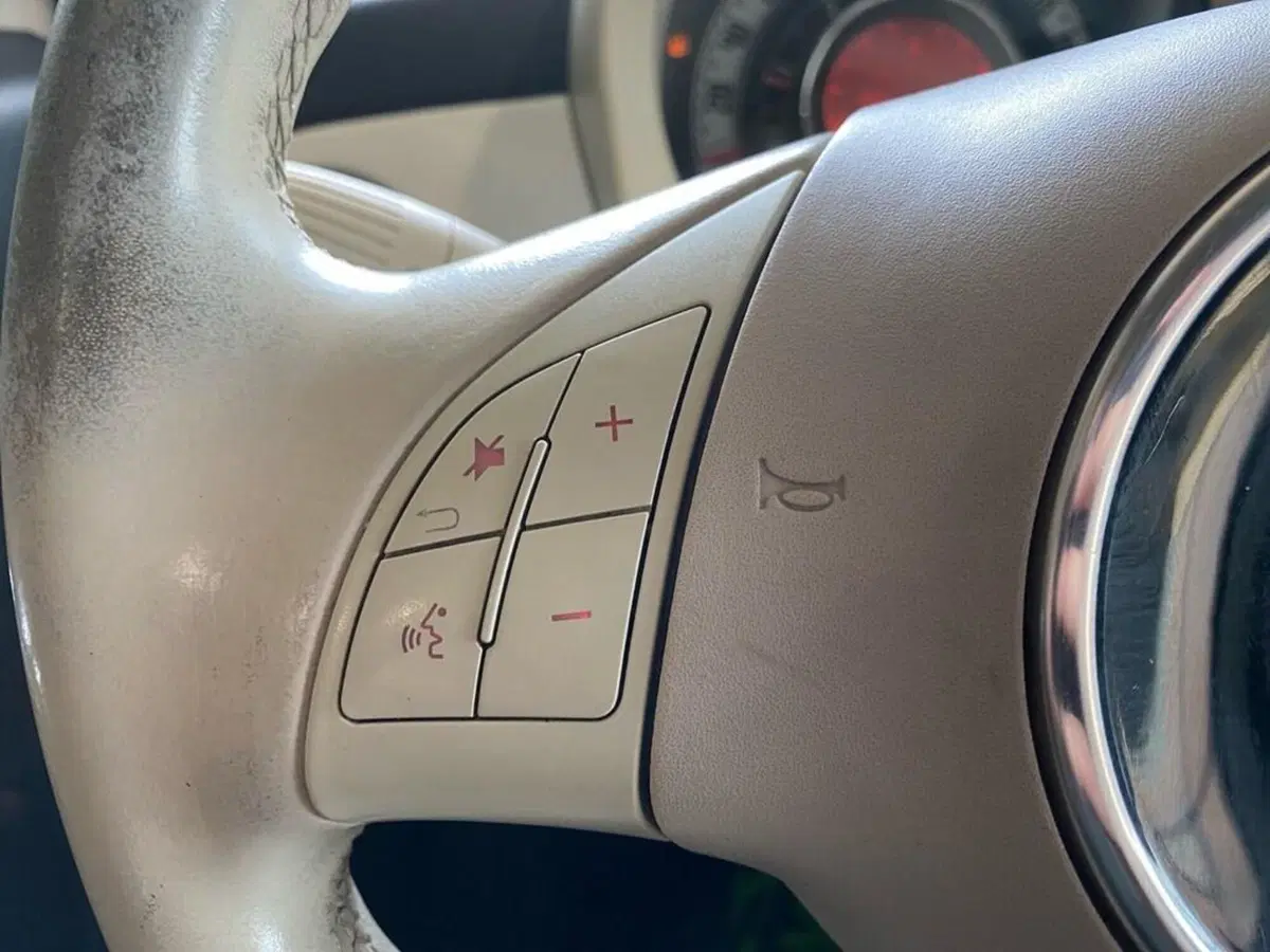 Fiat 500 usata a Torino (13)