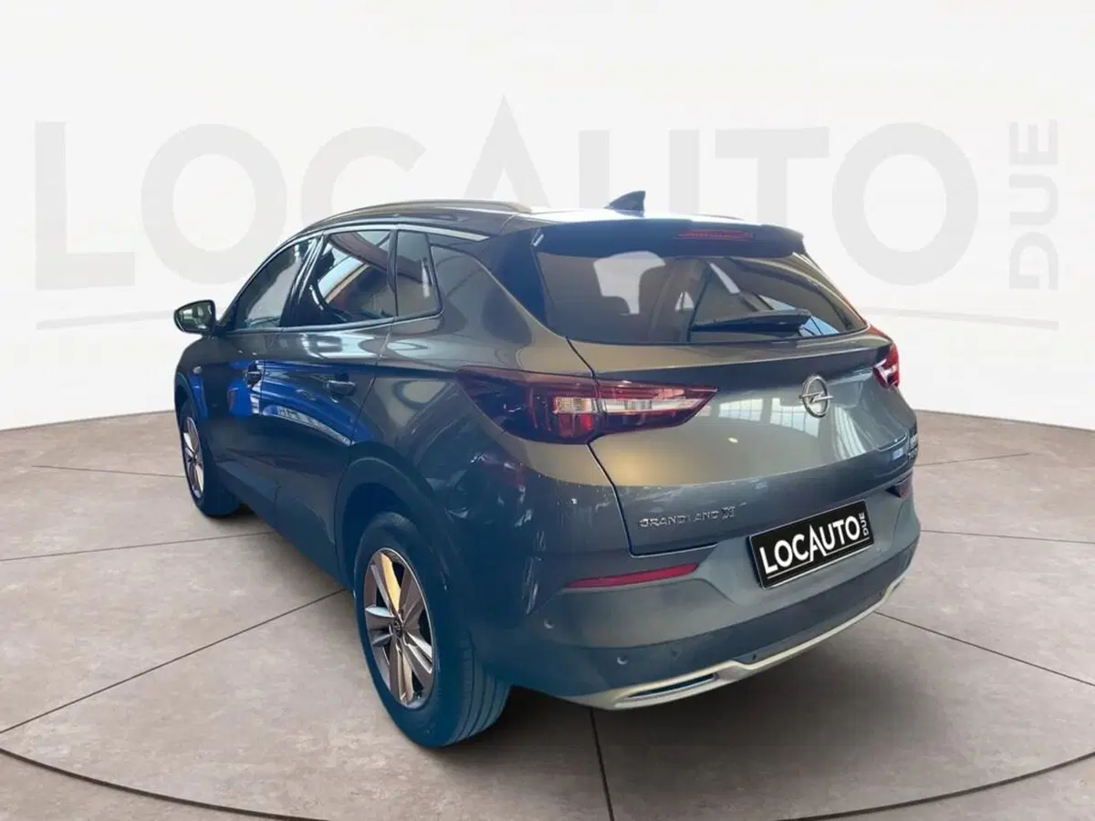 Opel Grandland X usata a Torino (5)