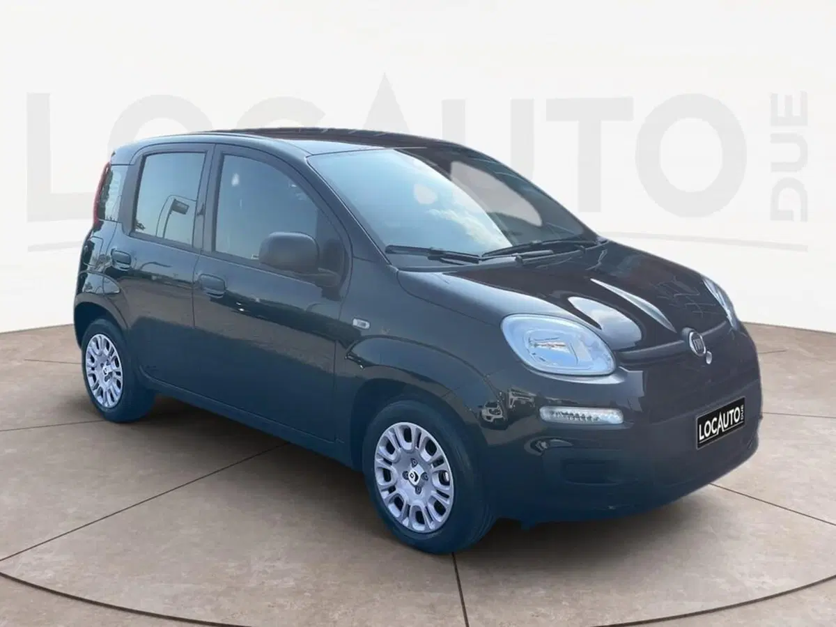 Fiat Pandina nuova a Torino (3)
