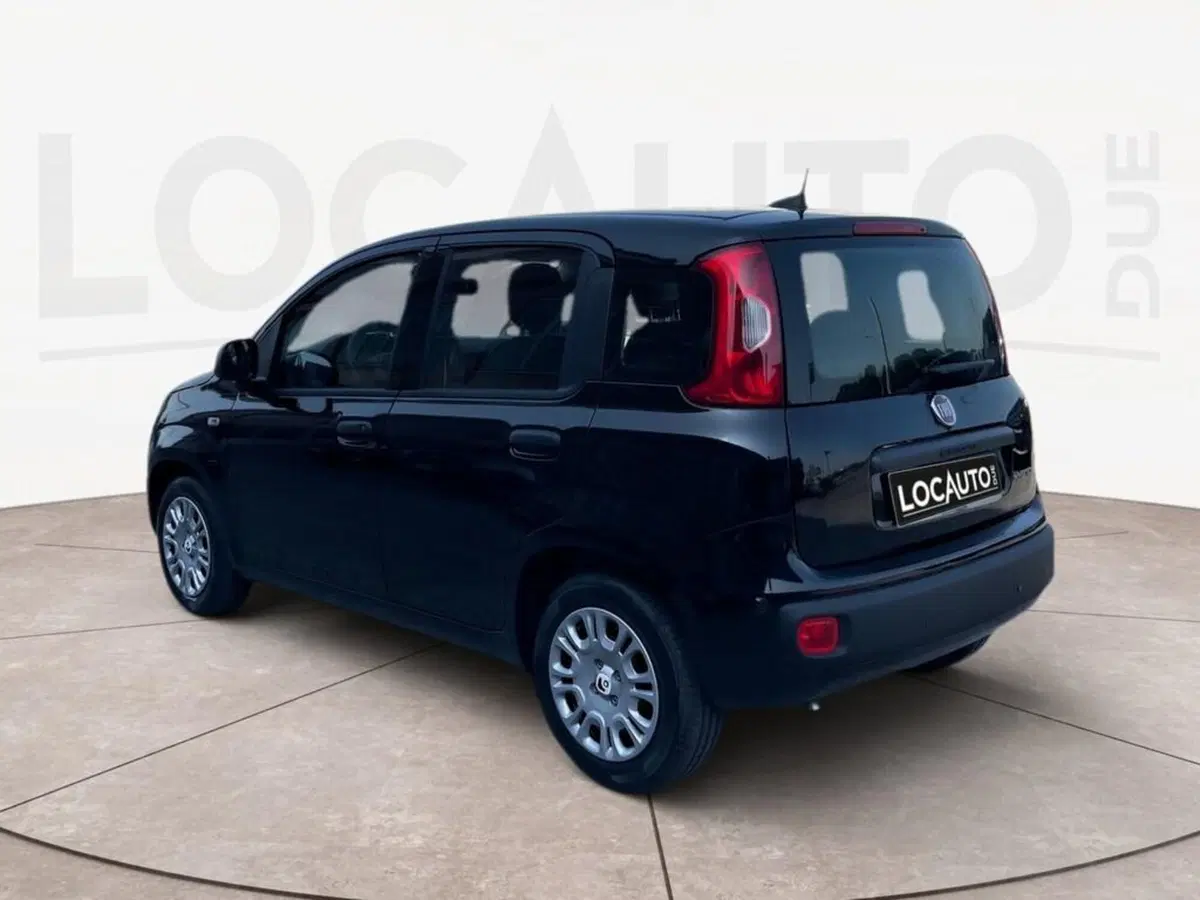 Fiat Pandina nuova a Torino (5)