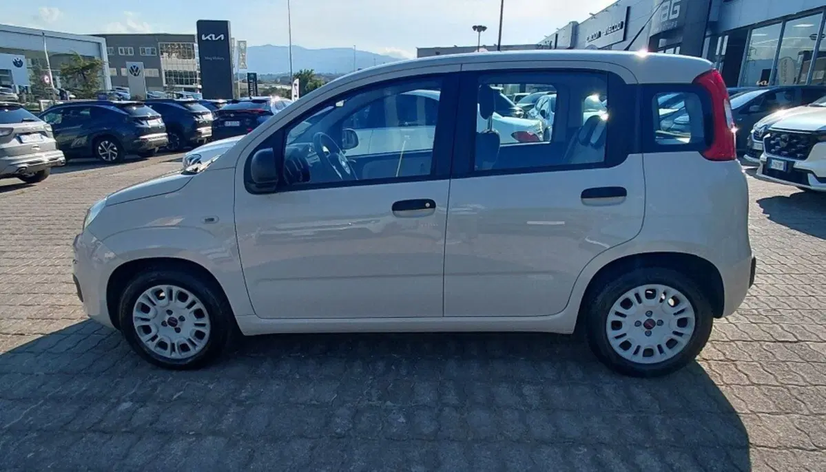 Fiat Panda usata a Cosenza (5)
