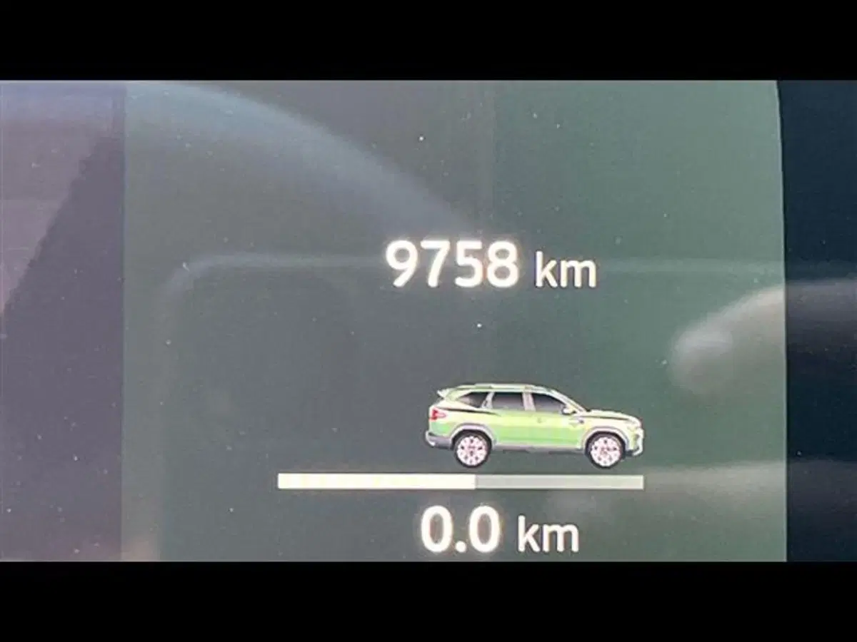 Dacia Bigster usata a Firenze (8)