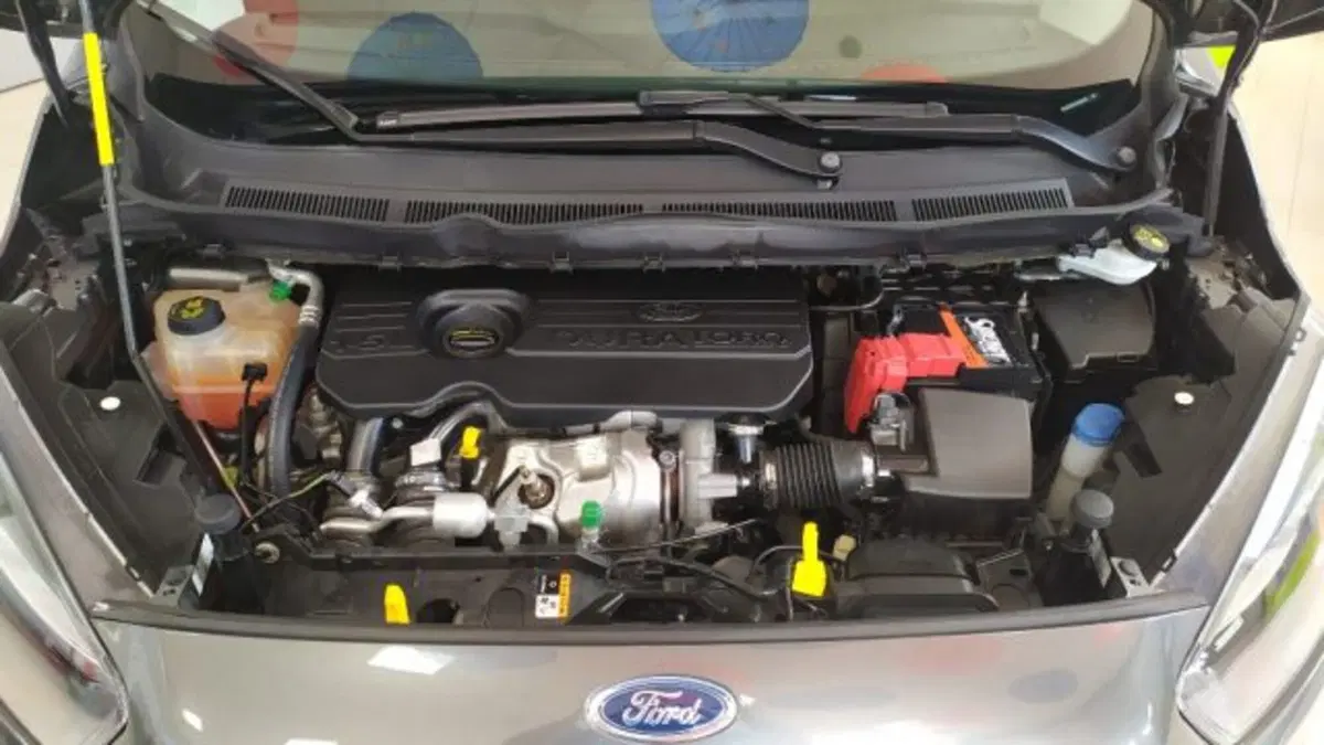 Ford Tourneo Courier usata a Trieste (14)