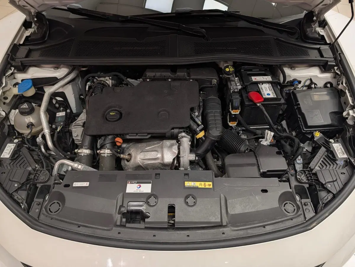Peugeot 308 SW usata a Ascoli Piceno (10)