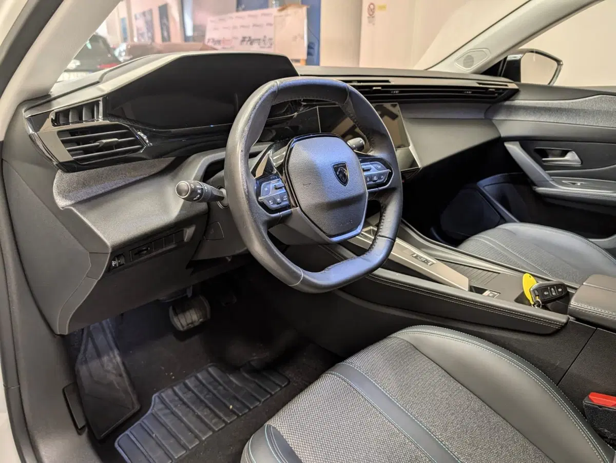 Peugeot 308 SW usata a Ascoli Piceno (11)