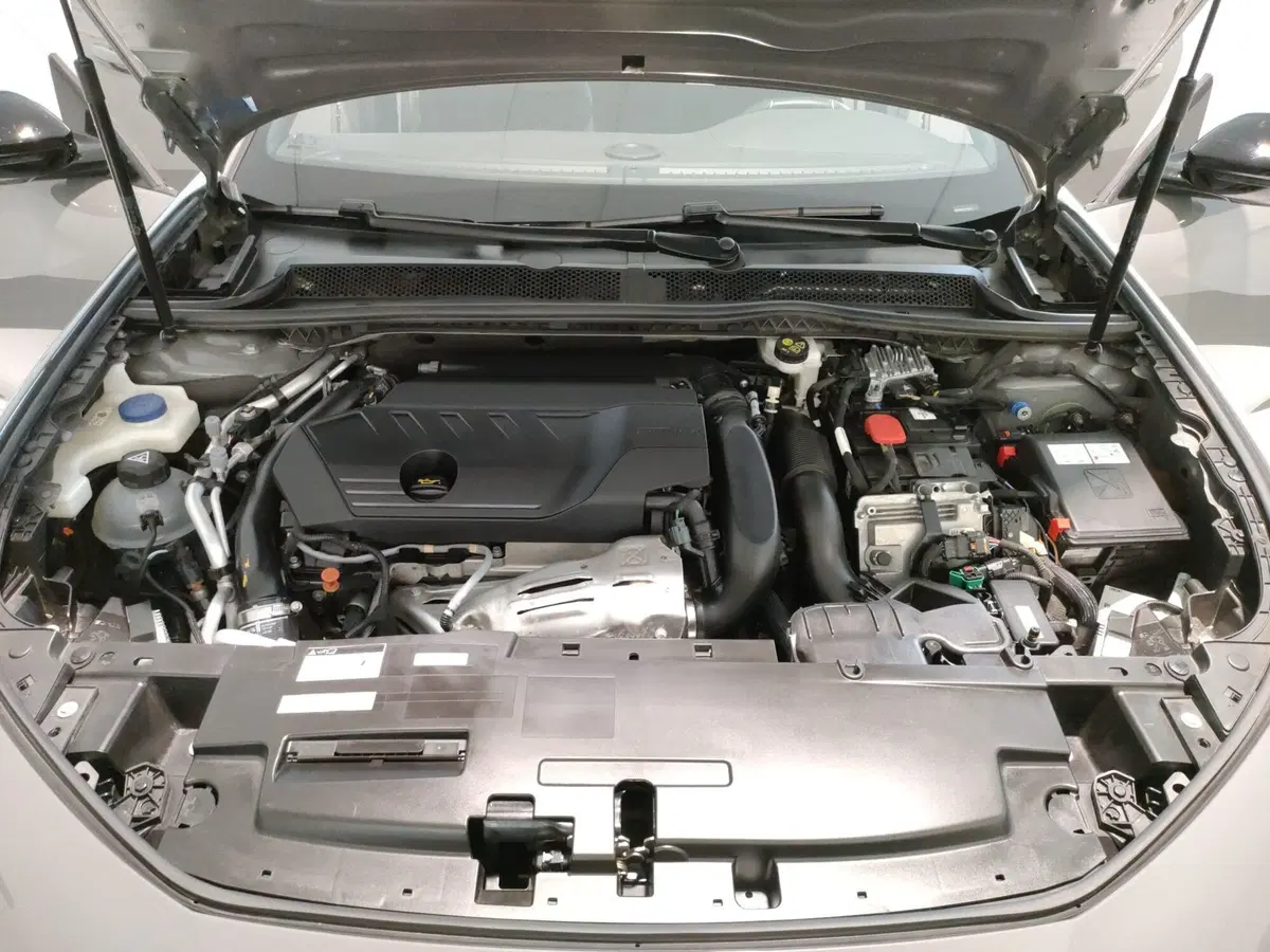 Peugeot 508 SW usata a Teramo (10)