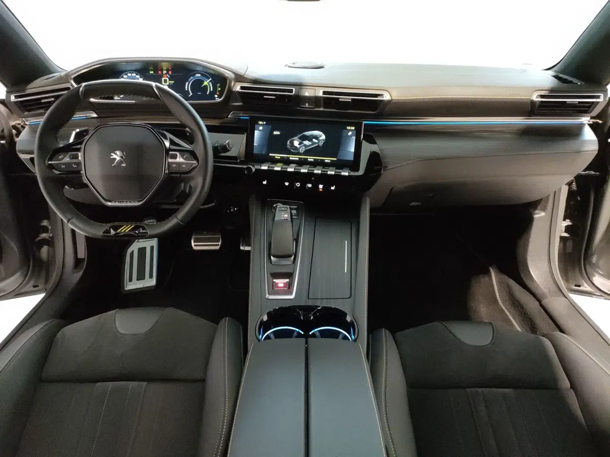 Peugeot 508 SW usata a Teramo (16)