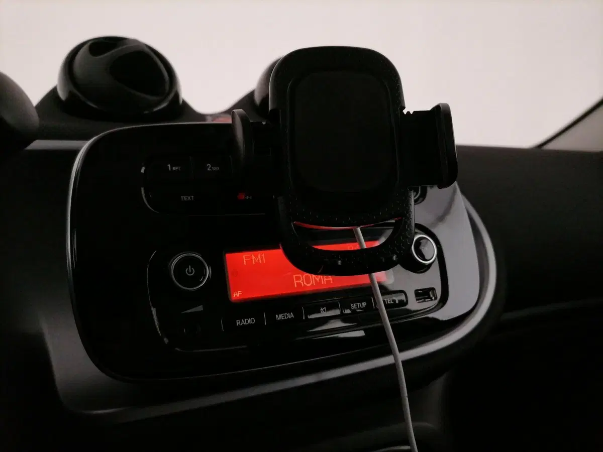 smart forfour usata a Roma (14)