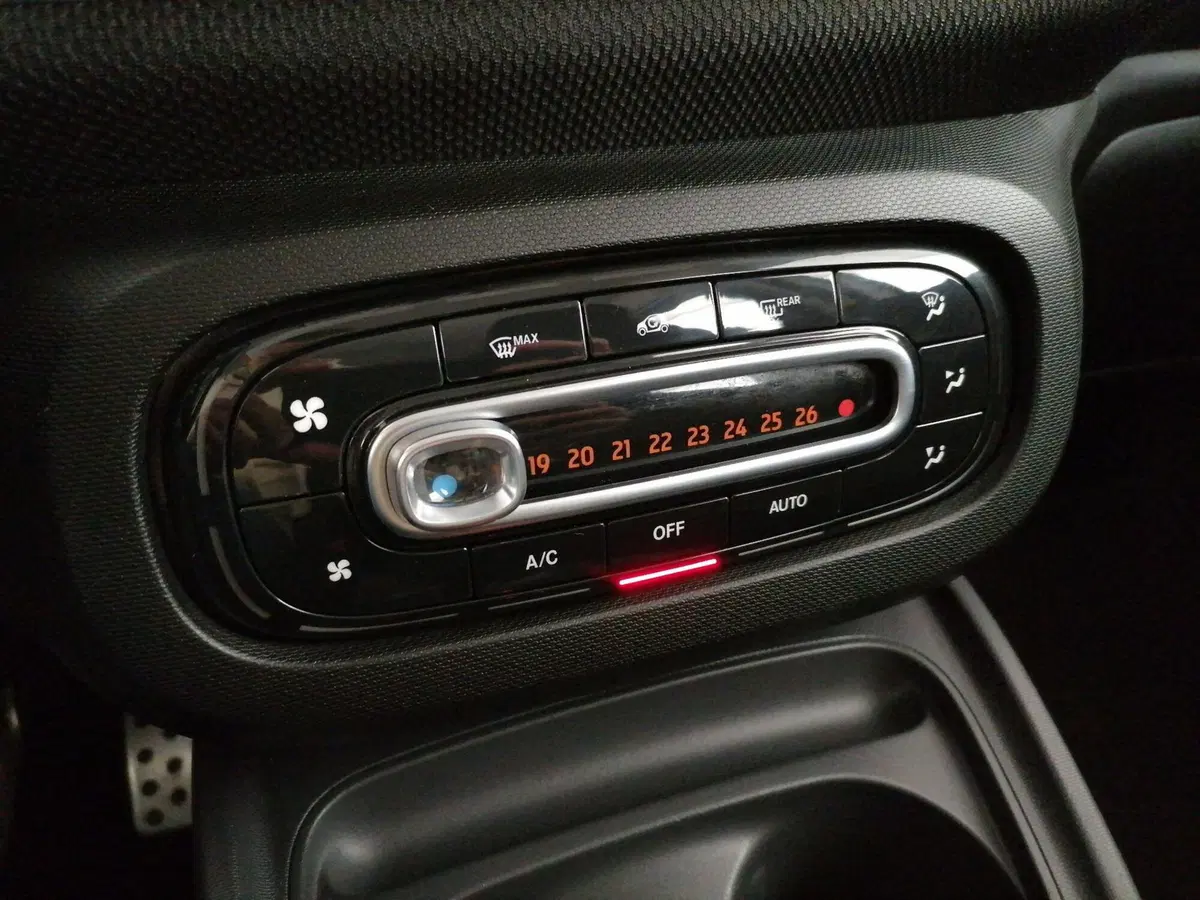 smart forfour usata a Roma (15)