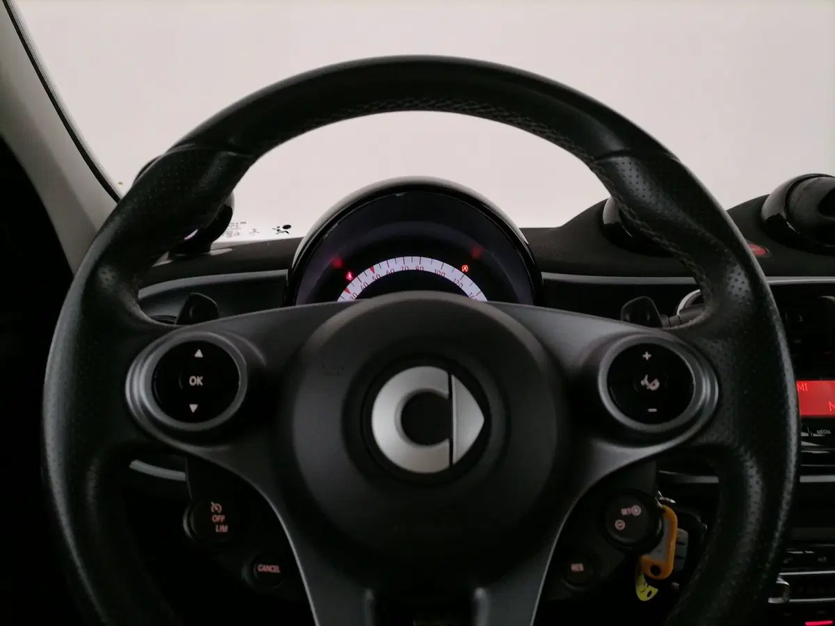 smart forfour usata a Roma (16)