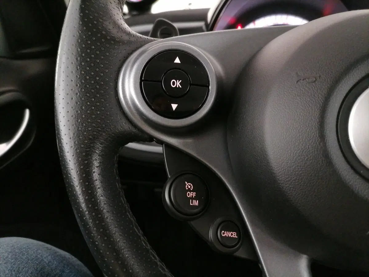 smart forfour usata a Roma (17)