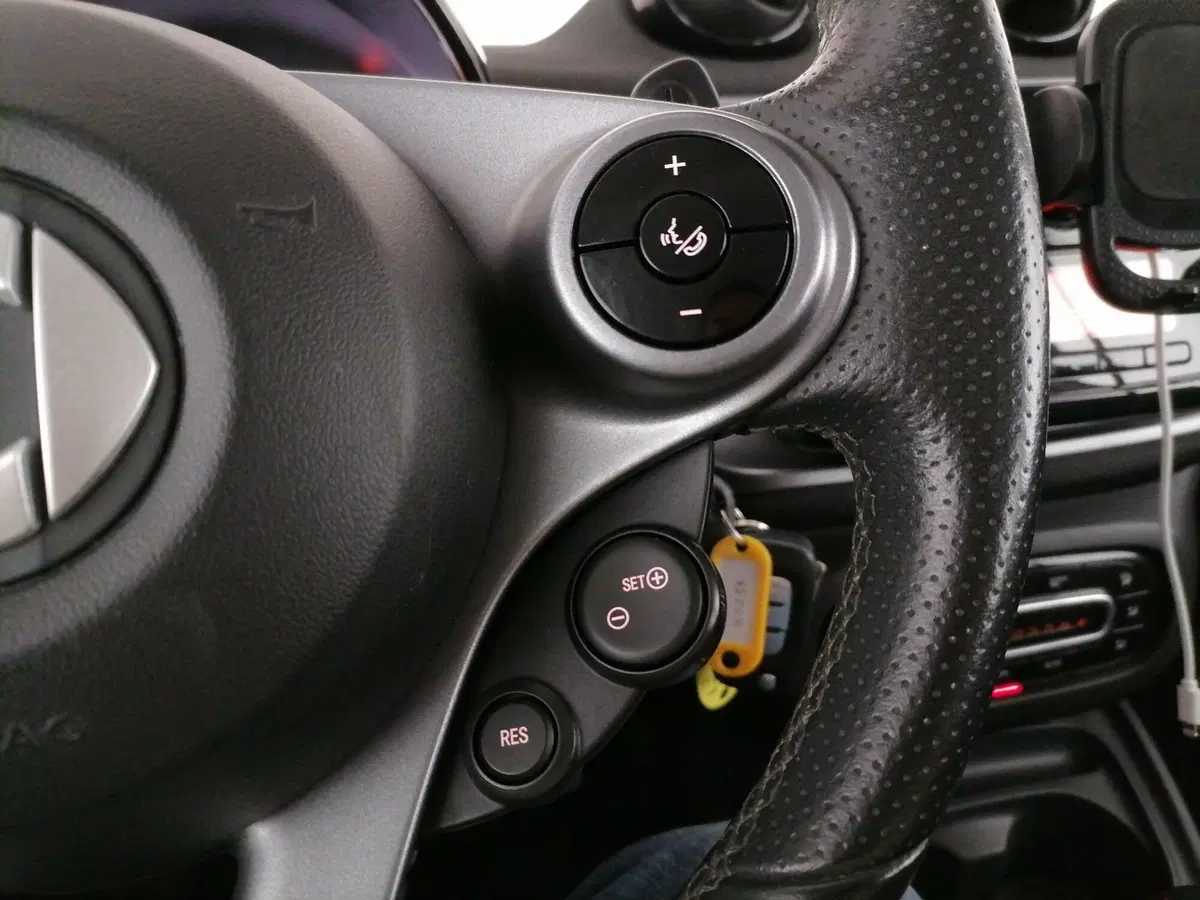 smart forfour usata a Roma (18)