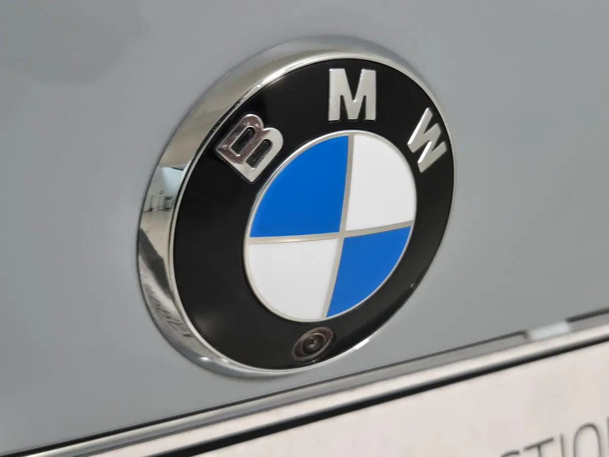 BMW Serie 4 Gran Coupé usata a Torino (20)