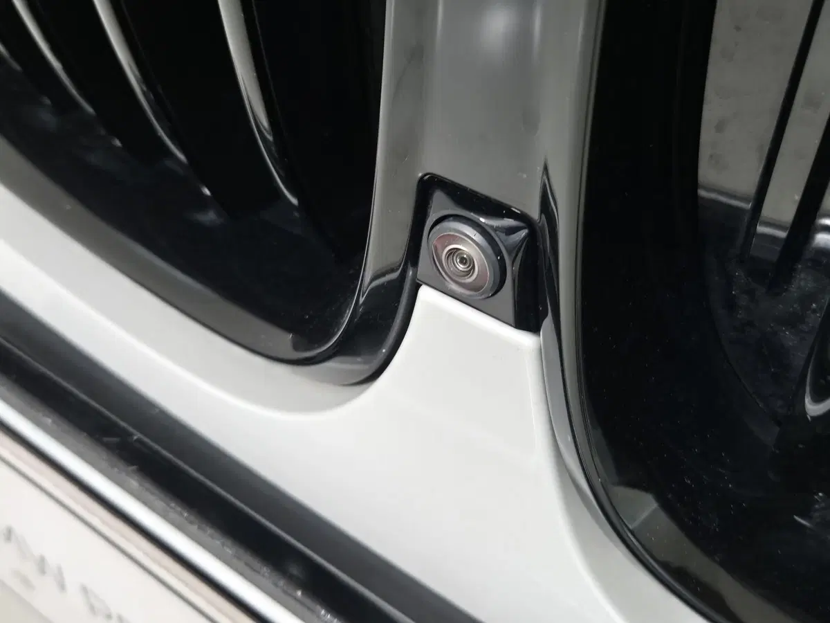 BMW X5 usata a Torino (19)