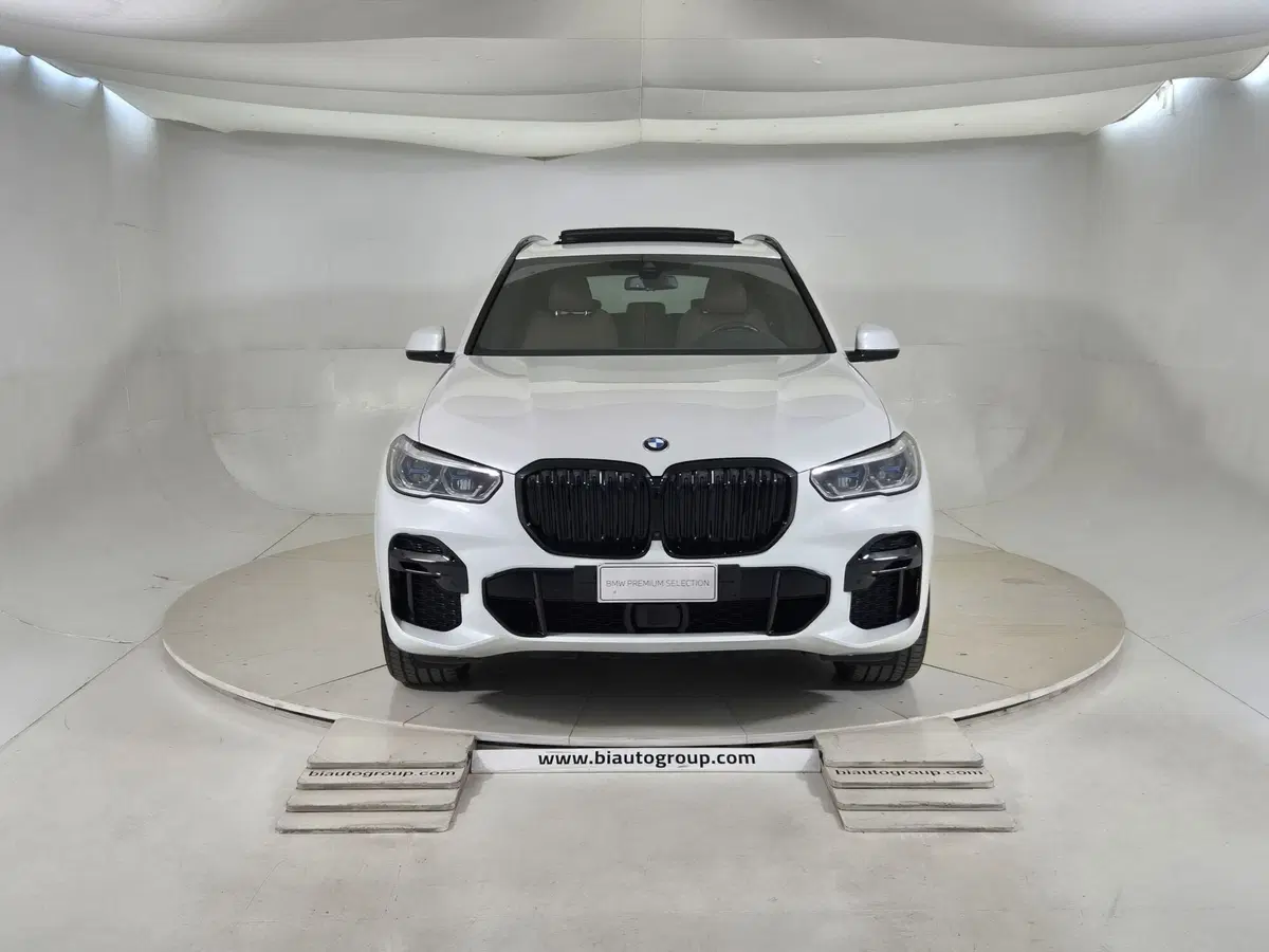 BMW X5 usata a Torino (3)