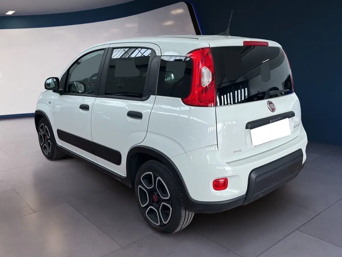 Fiat Panda usata a Torino (4)