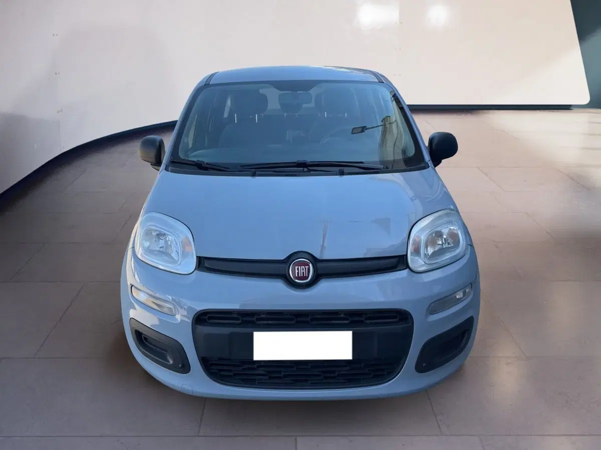 Fiat Panda usata a Torino
