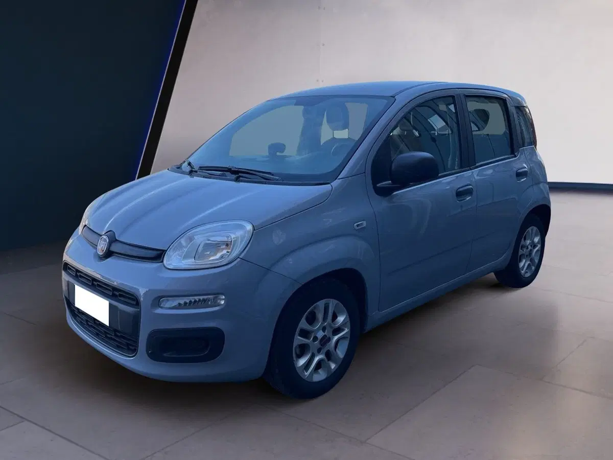 Fiat Panda usata a Torino (2)