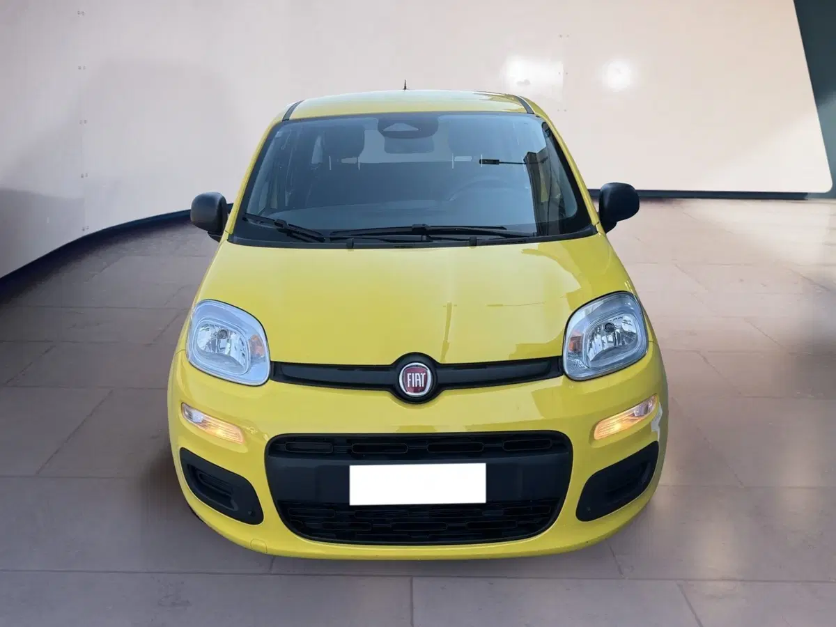 Fiat Pandina usata a Torino