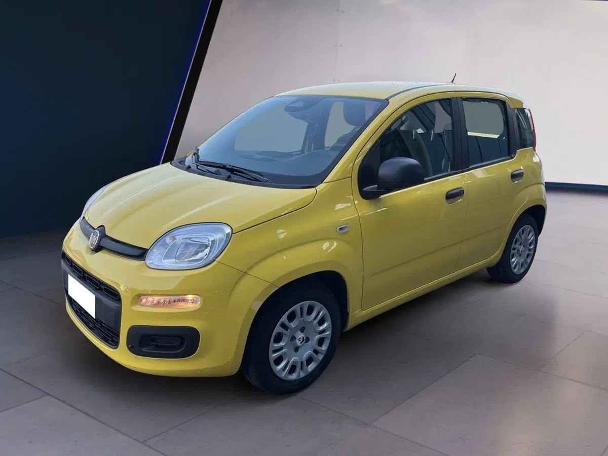 Fiat Pandina usata a Torino (2)