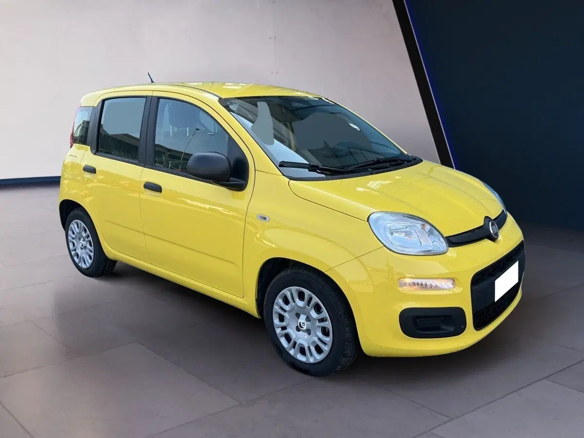 Fiat Pandina usata a Torino (3)